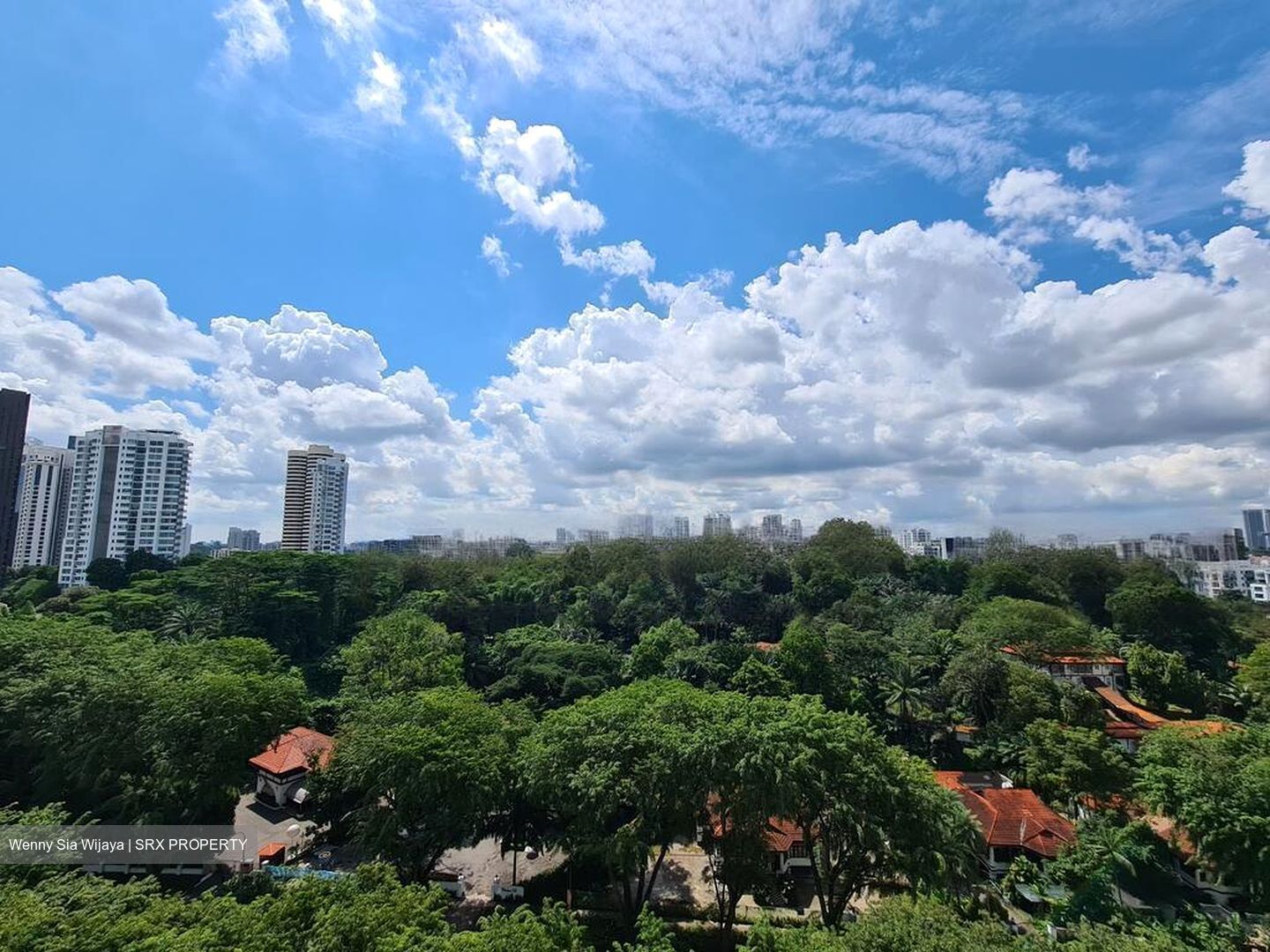 The Scotts Tower (D9), Condominium #463471591